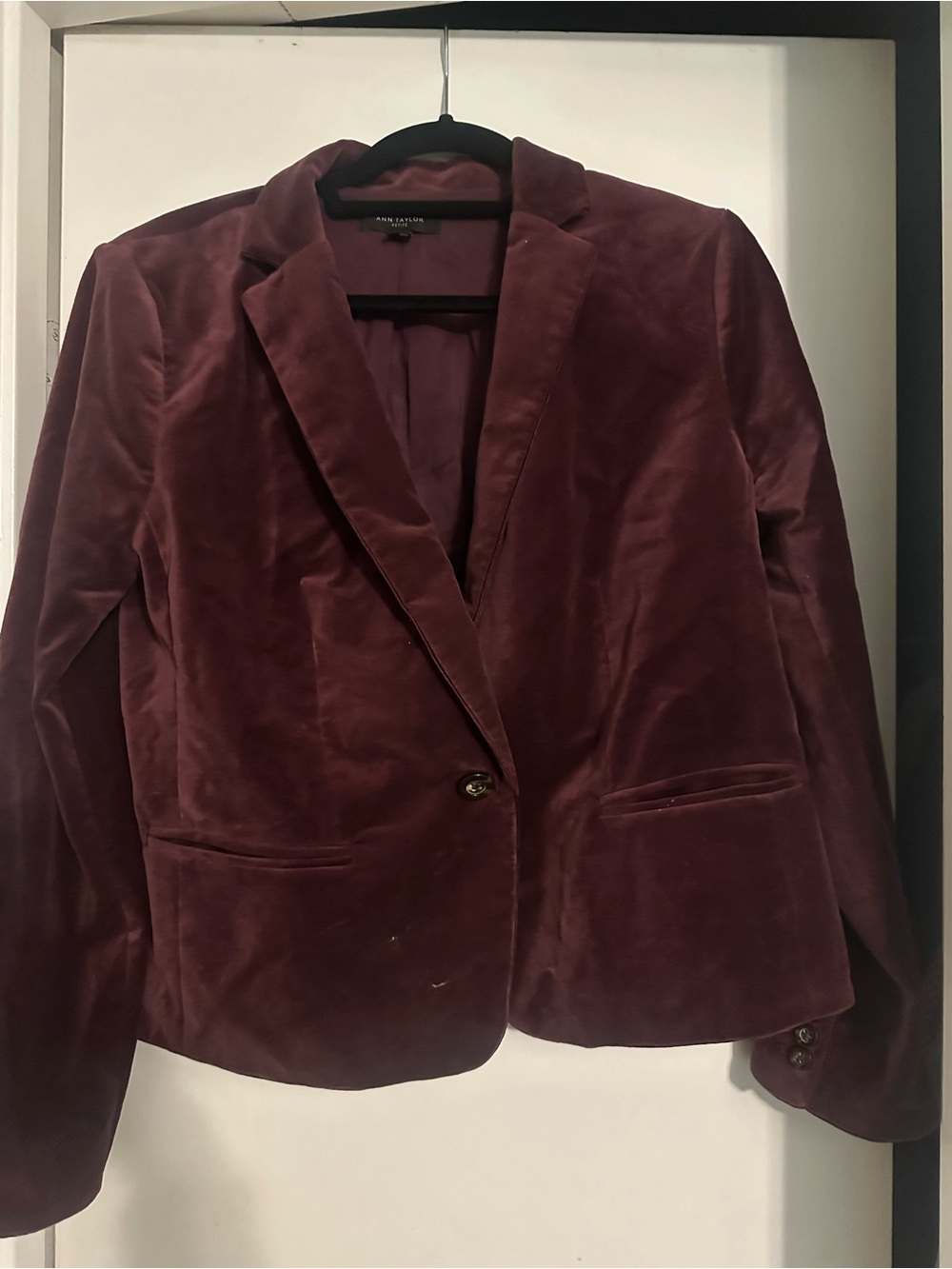 Ann Taylor Velvet Single-Button Blazer in Burgundy